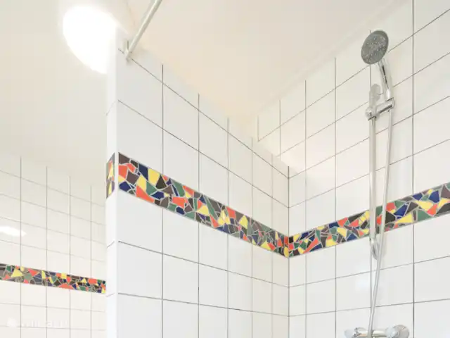 Badkamer met ligbad, separate douche en wastafel